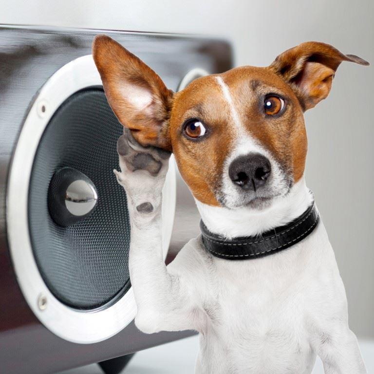 audio-hifi-highend-luzern audio-hifi-highend-luzern